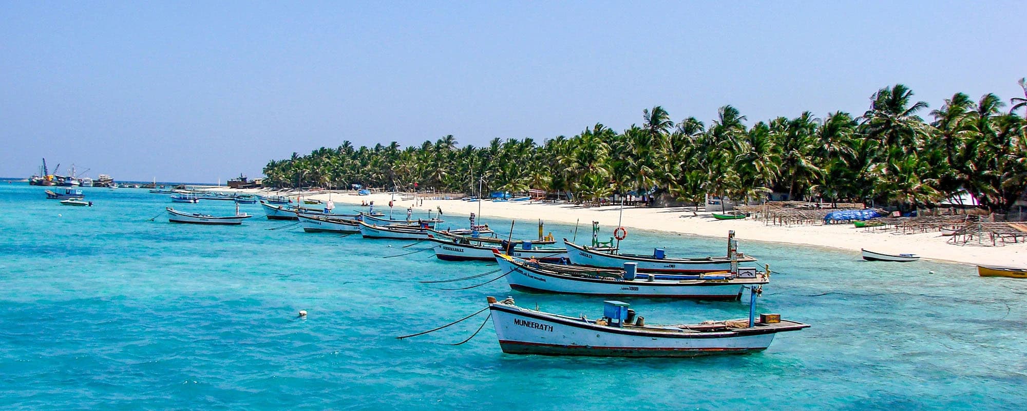 Fishing boats floating off the palm-lined shore of Lakshadweep