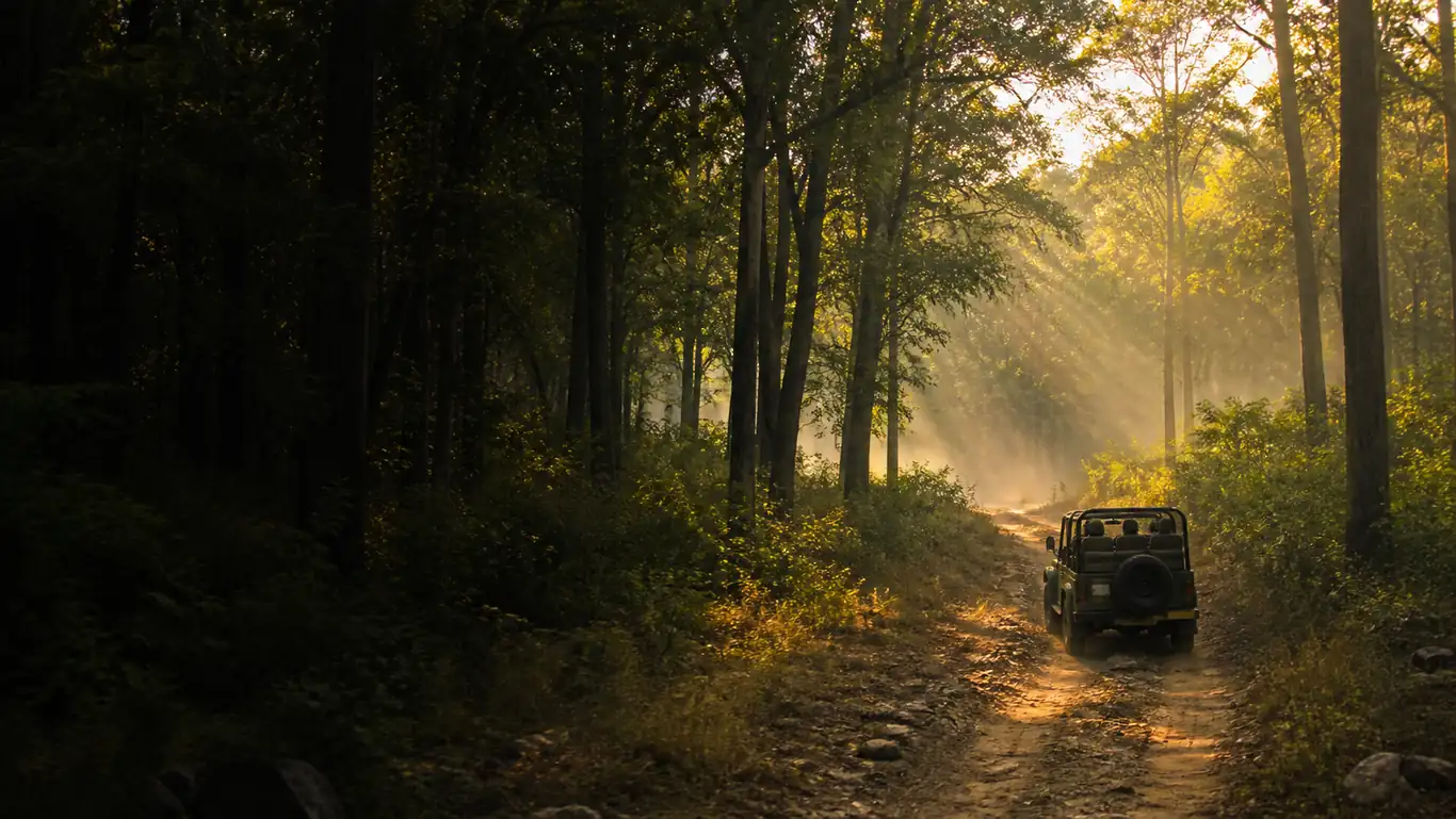 Satpura Wildscape: Jeep Trails & Riverside Serenity